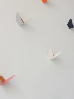 Appendiabiti Butterflies