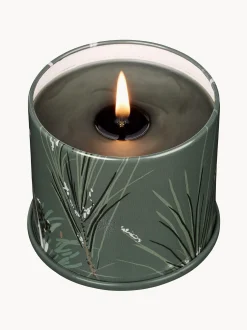 Candela profumata Vanity Tin (aghi di pino, cannella e muschio di quercia)
