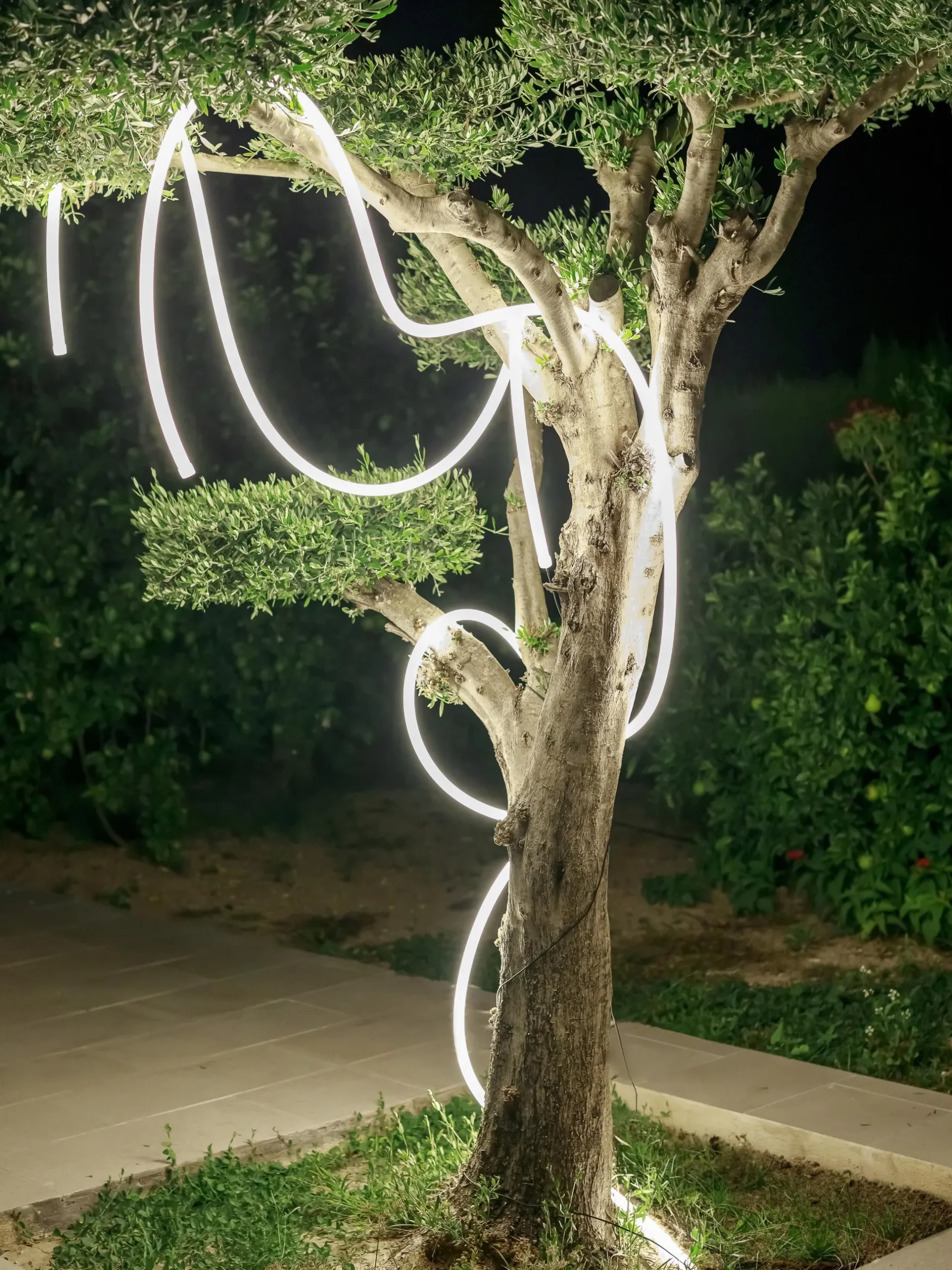 Catena luminosa a LED da esterno Neo