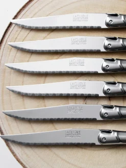 Ceppo con 6 coltelli Debutant Inox