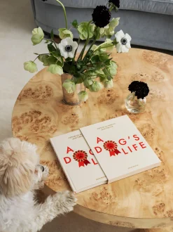 Diario per cani A Dog's Life