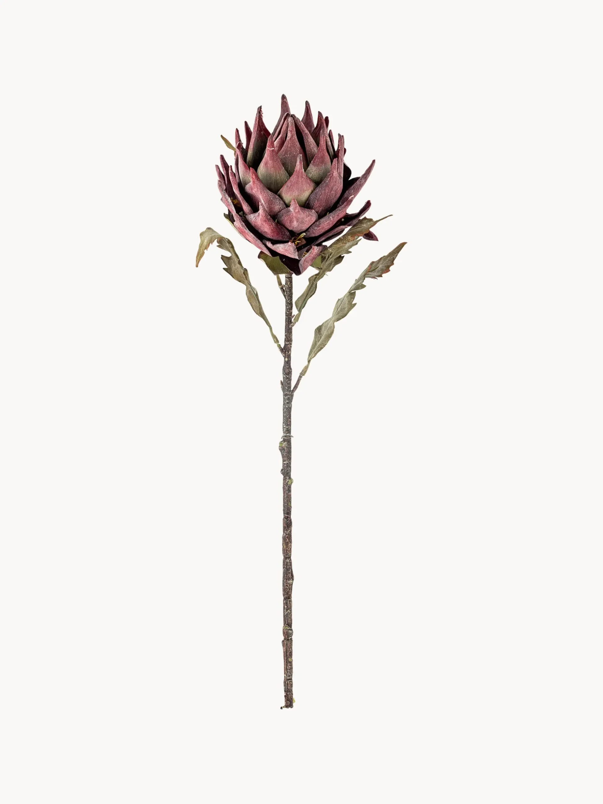 Fiore artificiale Protea