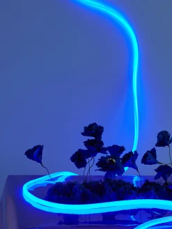 Ghirlanda a LED con luce regolabile Flex Tube
