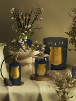 Spray per ambienti fatto a mano Reggio (olio essenziale di mandarino)